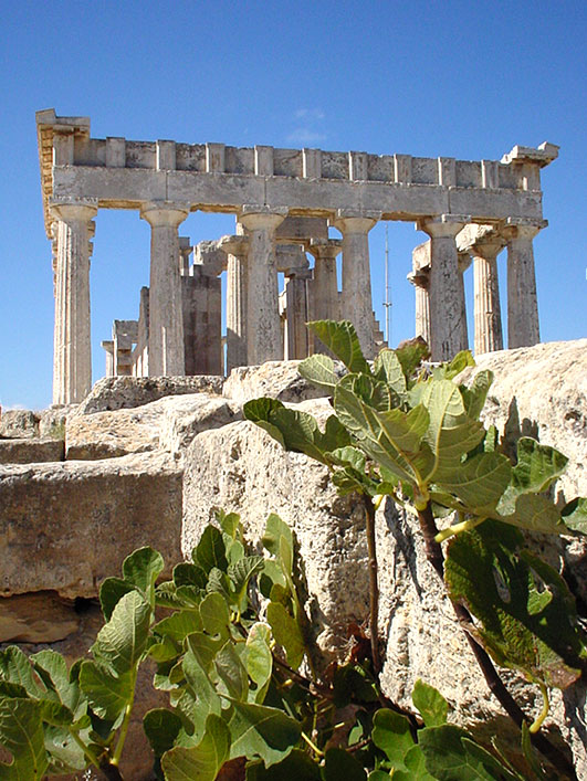 Tempel Aefea op Aegina
