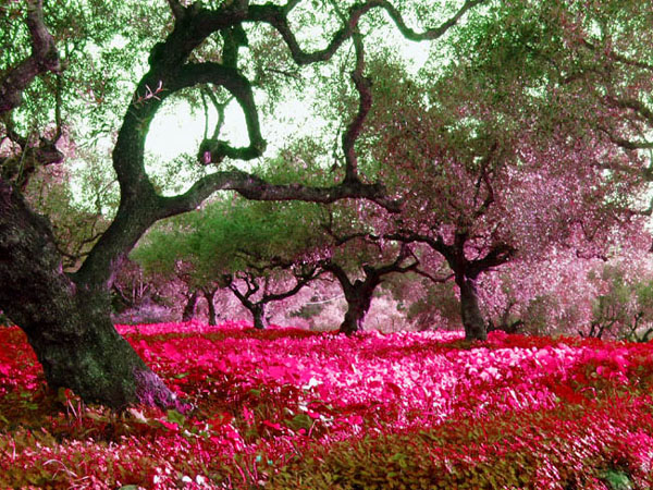 Kleuren op Zakynthos