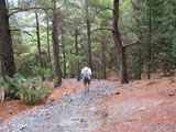 Samariakloof door de bossen